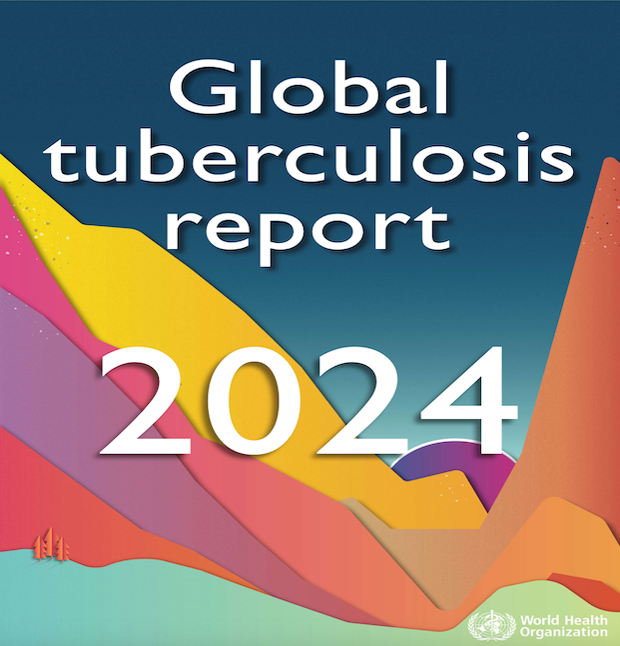 Global Tuberculosis Report 2024