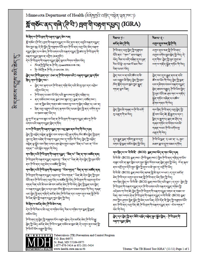 Tuberculosis (TB) Blood Test (IGRA)