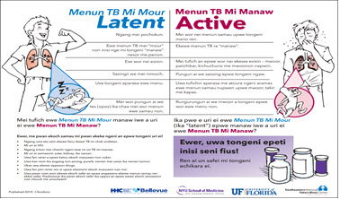 You Can Prevent Tuberculosis: A Patient Educational Handout