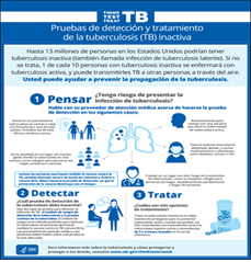 Pruebas de detección y tratamiento de la tuberculosis (TB) inactiva [Inactive Tuberculosis (TB) Testing and Treatment]