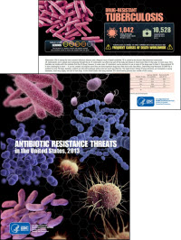 Antibiotic Resistance Threats in the United States, 2013