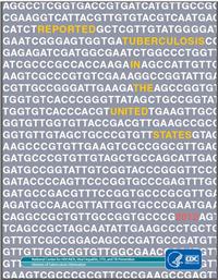 Reported Tuberculosis in the United States 2012