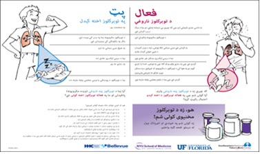 You Can Prevent Tuberculosis: A Patient Educational Handout