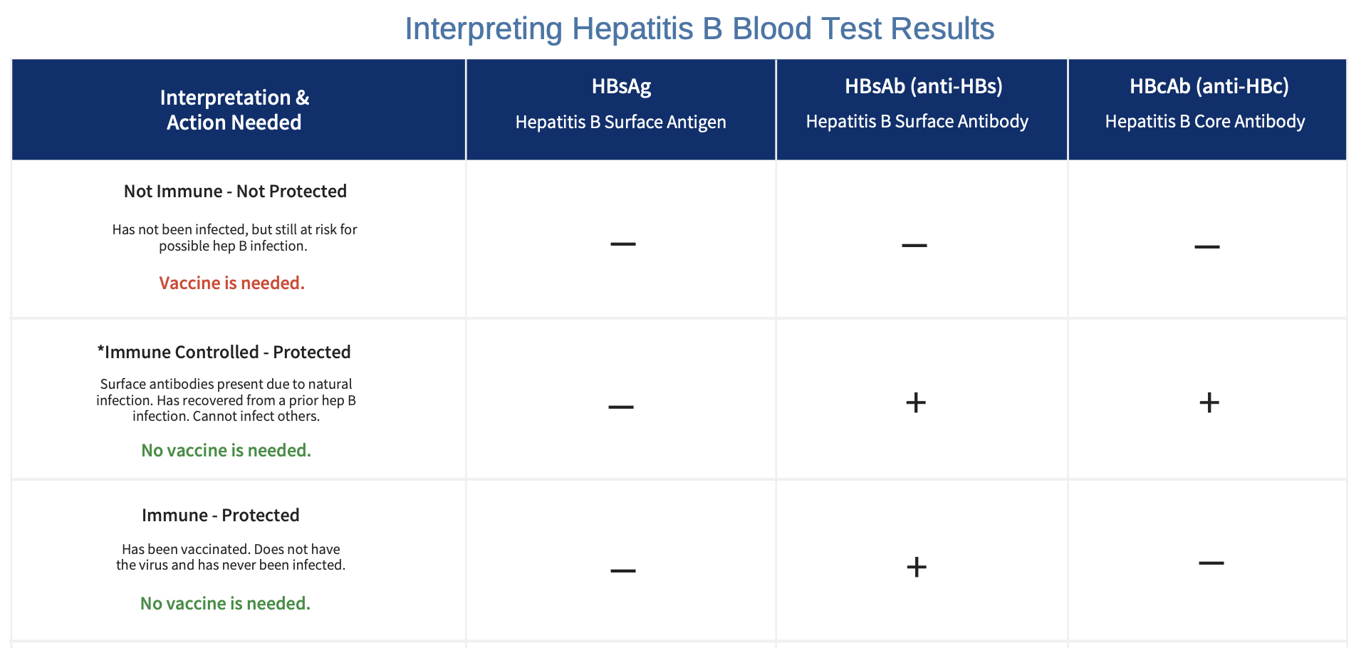 Understanding Your Hepatitis B Blood Tests