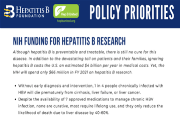 Advocacy Fact Sheet: Hepatitis B Policy Priorities | National ...