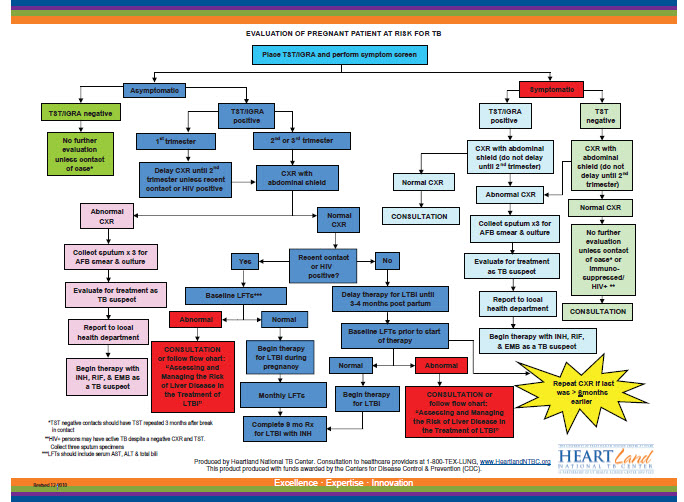 Evaluation of Pregnant Patient at Risk for TB