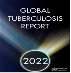 Global tuberculosis report 2022. Go to report