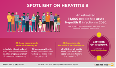 Spotlight On Hepatitis B | National Prevention Information Network ...