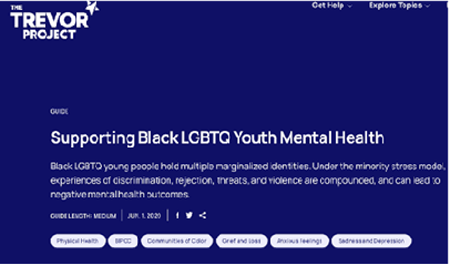 Supporting Black LGBTQ Youth (PDF)