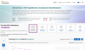 HIV Epidemic Analysis Dashboard (Web)