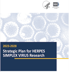strategic plan for herpes simplex