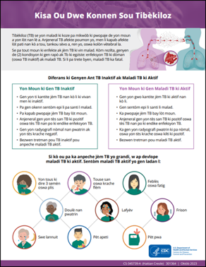 Kisa Ou Dwe Konnen Sou Tibèkiloz [What You Need to Know About Tuberculosis]. Go to fact sheet  
