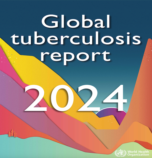 Global Tuberculosis Report 2024 (PDF)