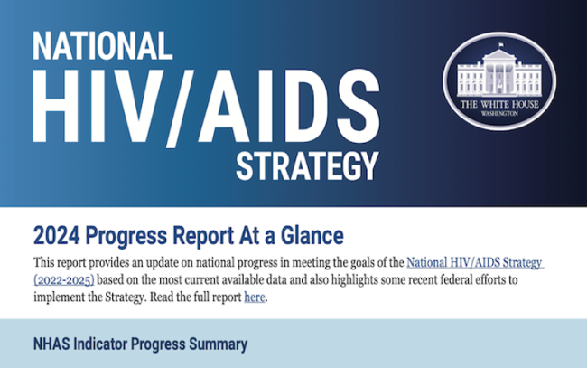 National HIV/AIDS Strategy 2024 Progress Report (PDF)