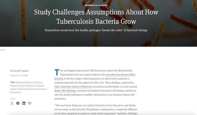 Study Challenges Assumptions About How TB Bacteria Grow (Web)