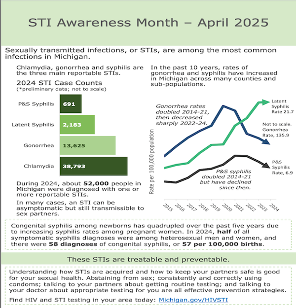 2024 STIs in Michigan Fact Sheet (PDF)