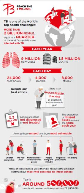  Global TB Burden Infographic 