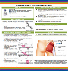 Administration of Amikacin Injection. Go to fact sheet