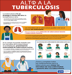 Alto a la Tuberculosis [Stop TB]. Go to poster