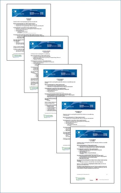  TB Medication Fact Sheets (Vietnamese) 