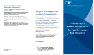 Tuberculose extrapulmonaire [Extrapulmonary Tuberculosis]. Go to brochure