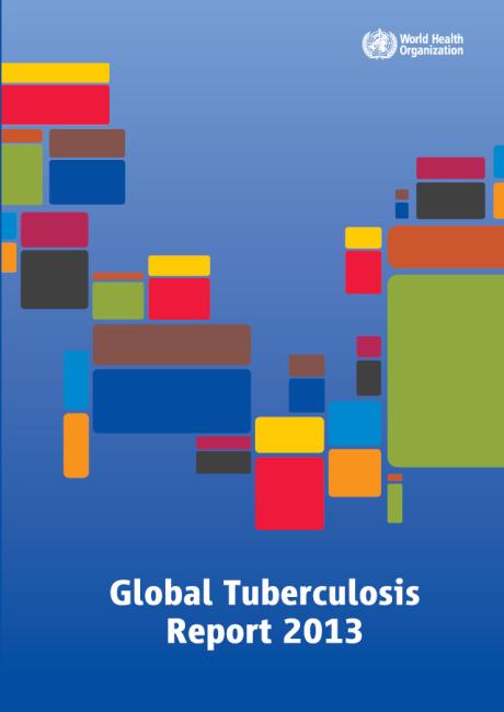  Global Tuberculosis Report 2013 