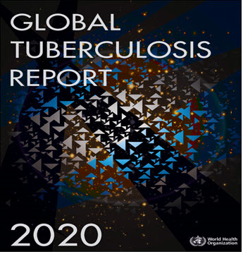 Global tuberculosis report 2020. Go to report