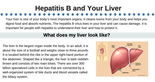 Hepatitis B And Your Liver | National Prevention Information Network