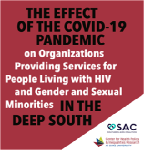 Effect of COVID-19 on HIV, Gender, and Sexual Minorities (PDF)