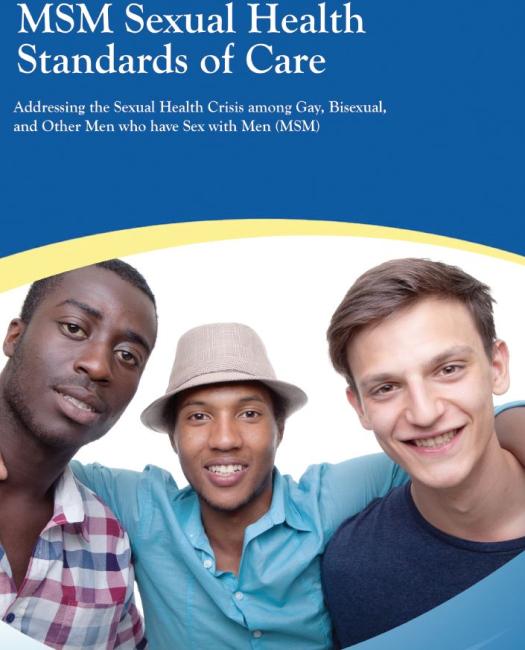 MSM Sexual Health Standards of Care PDF Report. Go to report.