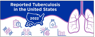 Reported Tuberculosis in the United States, 2022. Go to website.