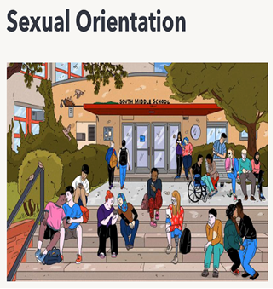 Sexual Orientation Teens (Web)