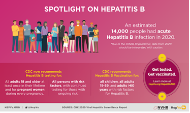 Spotlight on Hepatitis B (PDF)
