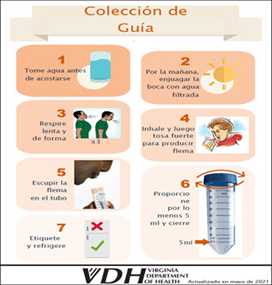 Colección de Guía [Sputum Collection Guide for Clients]. Go to fact sheet