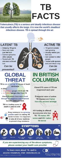  TB Facts Infographic 