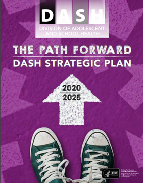 DASH Strategic Plan 2020-2025. Go to report.