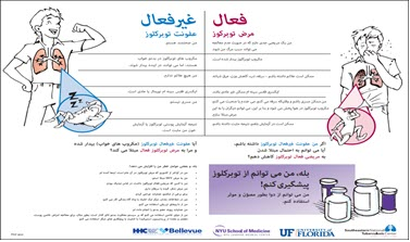 You Can Prevent Tuberculosis: A Patient Educational Handout (Dari). Go to fact sheet.