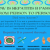 How Hepatitis B is Spread (PDF)
