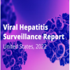 2022 Hepatitis Surveillance Report (Web)
