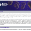 Mpox Fact Sheet (PDF)