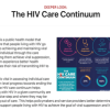 HIV Care Continuum (Web)
