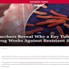 Researchers Reveal Why a Key Tuberculosis Drug Works Against Resistant Strains (Web)