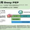 如何服用 Doxy PEP (PDF)