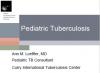  Pediatric Tuberculosis: An Online Presentation 