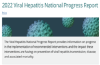 2022 Viral Hepatitis National Progress Report (Web)