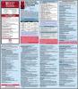 Thumbnail image of Opportunistic Infections (OIs) in HIV/AIDS 