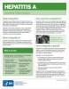 Thumbnail image of Hepatitis A: General Information