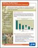 Thumbnail image of Fighting A Deadly Fungus: A New Strategy to Reduce Deaths Due to Cryptococcus 