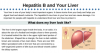 Hepatitis B and Your Liver (PDF)