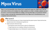 Mpox Virus Wisconsin Health Department (PDF)